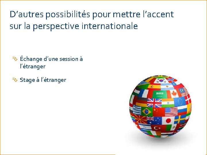 D’autres possibilités pour mettre l’accent sur la perspective internationale Échange d’une session à l’étranger