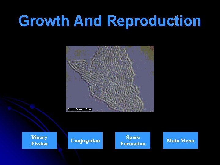 Growth And Reproduction Binary Fission Conjugation Spore Formation Main Menu 