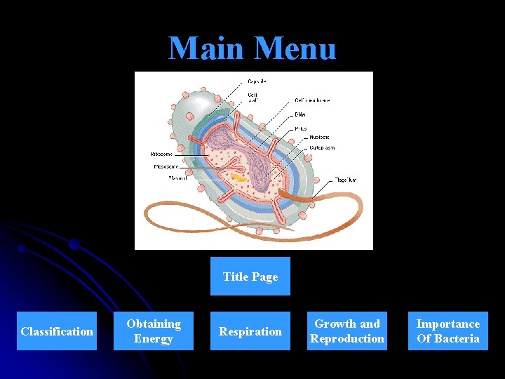 Main Menu Title Page Classification Obtaining Energy Respiration Growth and Reproduction Importance Of Bacteria