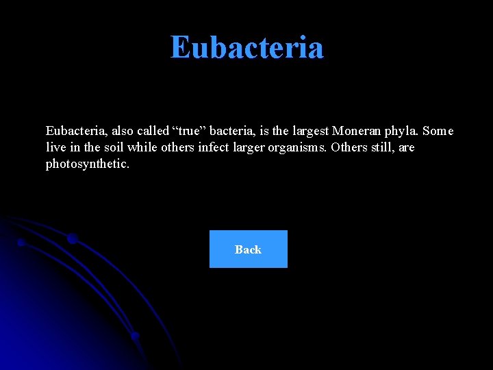 Eubacteria, also called “true” bacteria, is the largest Moneran phyla. Some live in the