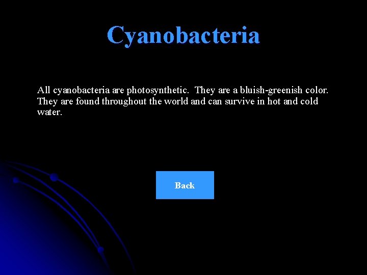 Cyanobacteria All cyanobacteria are photosynthetic. They are a bluish-greenish color. They are found throughout