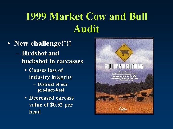 1999 Market Cow and Bull Audit • New challenge!!!! – Birdshot and buckshot in