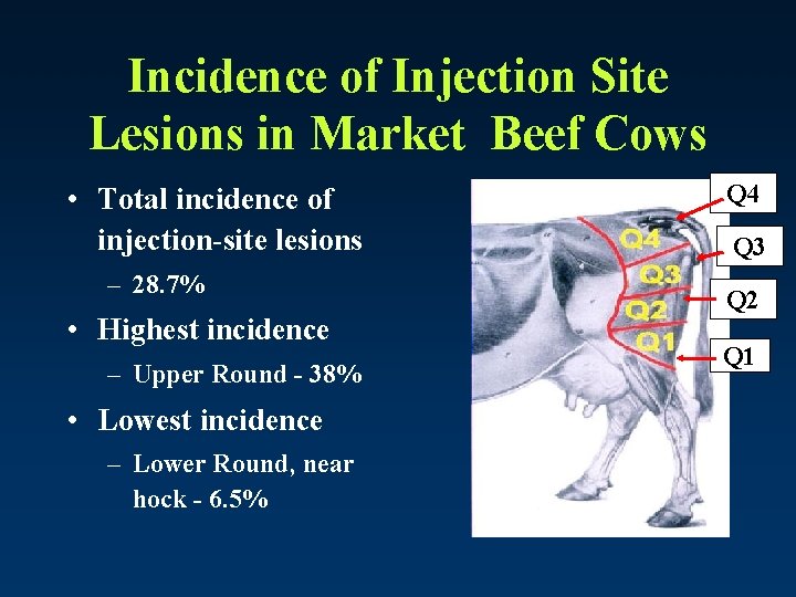 Incidence of Injection Site Lesions in Market Beef Cows • Total incidence of injection-site