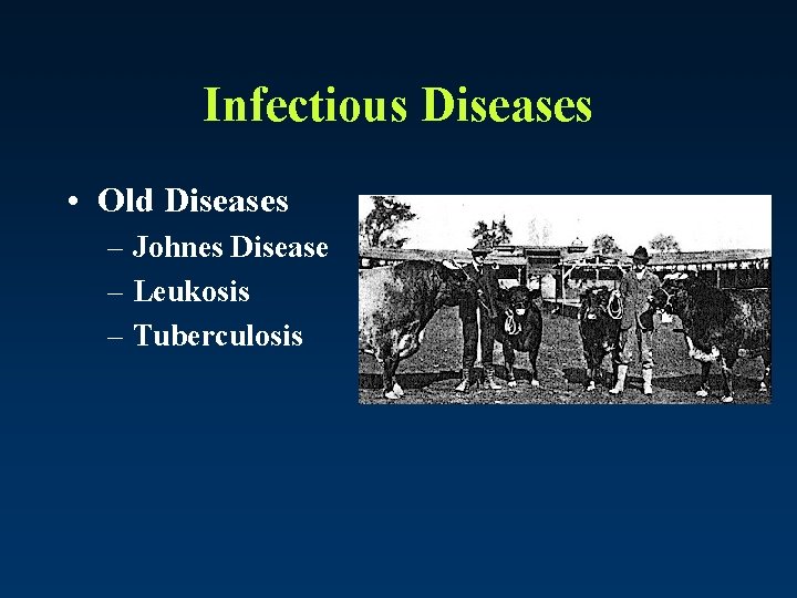 Infectious Diseases • Old Diseases – Johnes Disease – Leukosis – Tuberculosis 