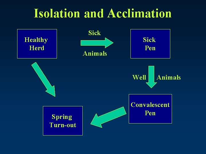 Isolation and Acclimation Sick Healthy Herd Animals Sick Pen Well Spring Turn-out Animals Convalescent