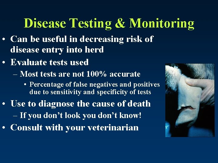 Disease Testing & Monitoring • Can be useful in decreasing risk of disease entry