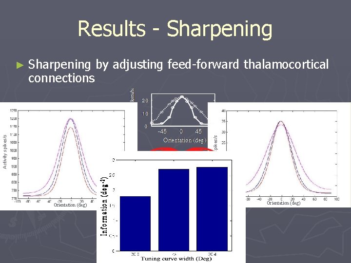 Results - Sharpening ► Sharpening Orientation (deg) Log (variance) Activity spikes/s connections by adjusting