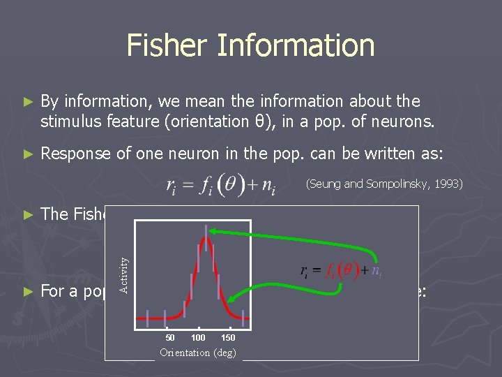 Fisher Information ► By information, we mean the information about the stimulus feature (orientation