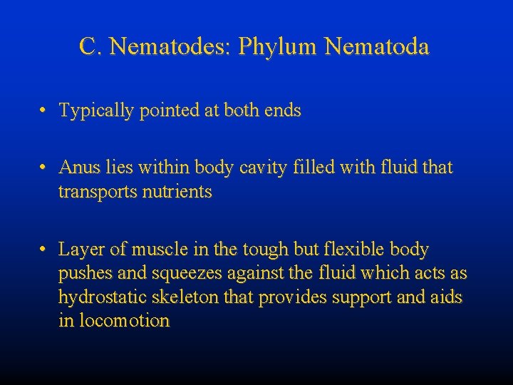 C. Nematodes: Phylum Nematoda • Typically pointed at both ends • Anus lies within