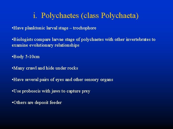 i. Polychaetes (class Polychaeta) • Have planktonic larval stage – trochophore • Biologists compare