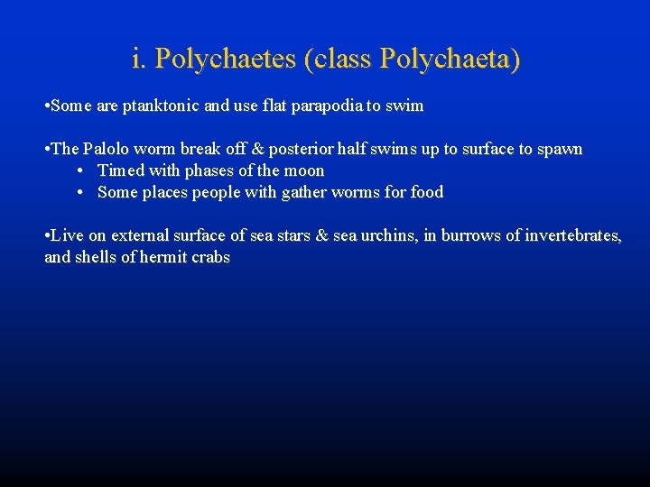 i. Polychaetes (class Polychaeta) • Some are ptanktonic and use flat parapodia to swim