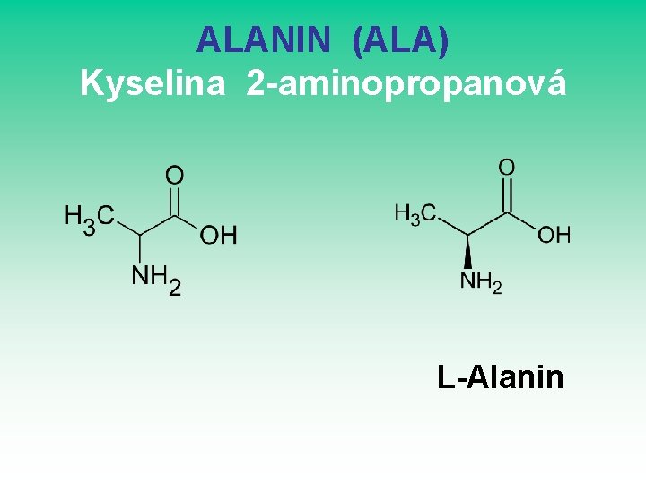 ALANIN (ALA) Kyselina 2 -aminopropanová L-Alanin ALANIN (ALA) Kyselina 2 -aminopropanová L-Alanin