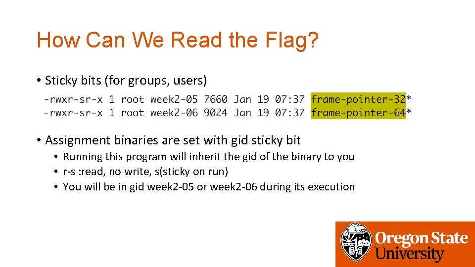 How Can We Read the Flag? • Sticky bits (for groups, users) • Assignment