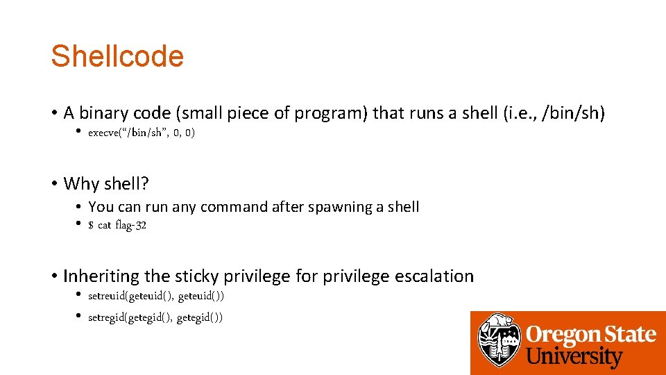 Shellcode • A binary code (small piece of program) that runs a shell (i.