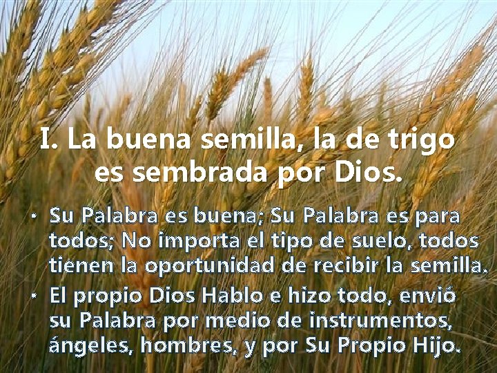 I. La buena semilla, la de trigo es sembrada por Dios. • Su Palabra