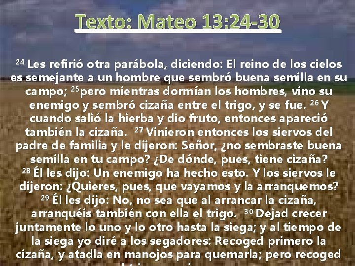 Texto: Mateo 13: 24 -30 24 Les refirió otra parábola, diciendo: El reino de