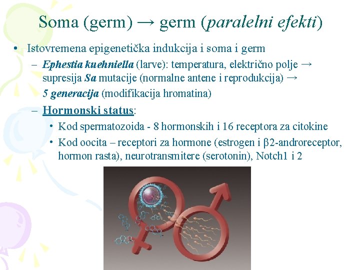 Soma (germ) → germ (paralelni efekti) • Istovremena epigenetička indukcija i soma i germ