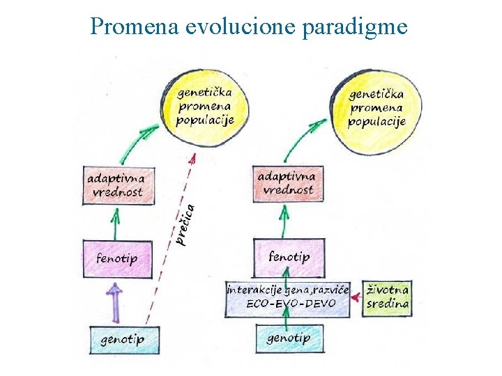 Promena evolucione paradigme 