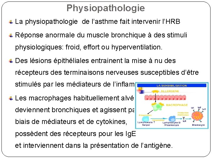 Physiopathologie La physiopathologie de l’asthme fait intervenir l’HRB Réponse anormale du muscle bronchique à