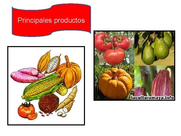 Principales productos 