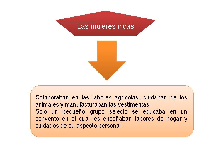 Las mujeres incas Colaboraban en las labores agrícolas, cuidaban de los animales y manufacturaban