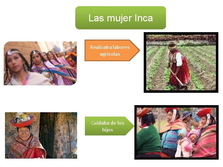 Las mujer Inca Realizaba labores agrícolas Cuidaba de los hijos 