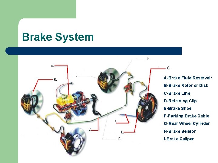 Brake System A-Brake Fluid Reservoir B-Brake Rotor or Disk C-Brake Line D-Retaining Clip E-Brake