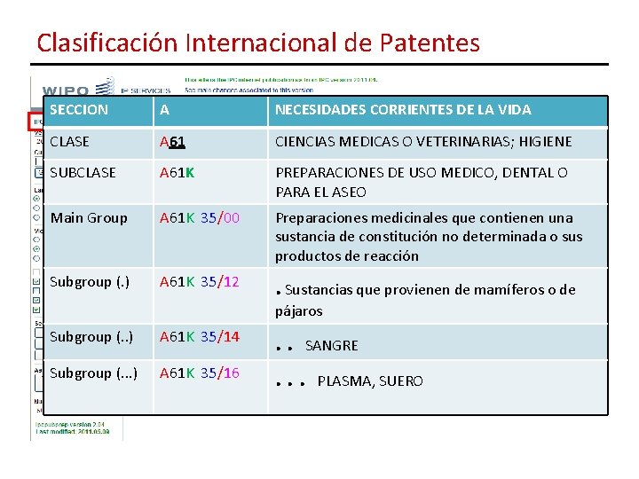 Clasificación Internacional de Patentes SECCION A NECESIDADES CORRIENTES DE LA VIDA CLASE A 61