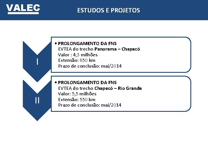 VALEC ESTUDOS E PROJETOS I • PROLONGAMENTO DA FNS EVTEA do trecho Panorama –