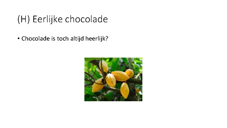 (H) Eerlijke chocolade • Chocolade is toch altijd heerlijk? 