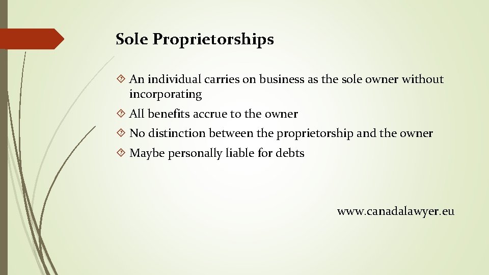 Sole Proprietorships An individual carries on business as the sole owner without incorporating All