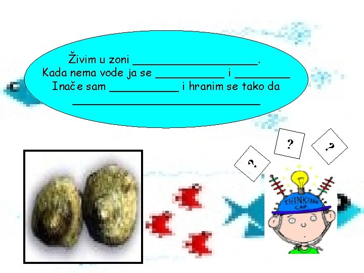 Živim u zoni _________. Kada nema vode ja se _____ i ____ Inače sam