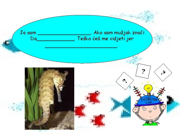 Ja sam _________. Ako sam mužjak znači Da______. Teško ćeš me vidjeti jer ____________.