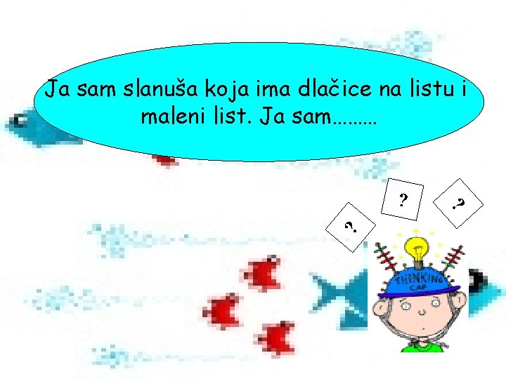 Ja sam slanuša koja ima dlačice na listu i maleni list. Ja sam……… ?