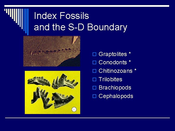 Index Fossils and the S-D Boundary o Graptolites * o Conodonts * o Chitinozoans