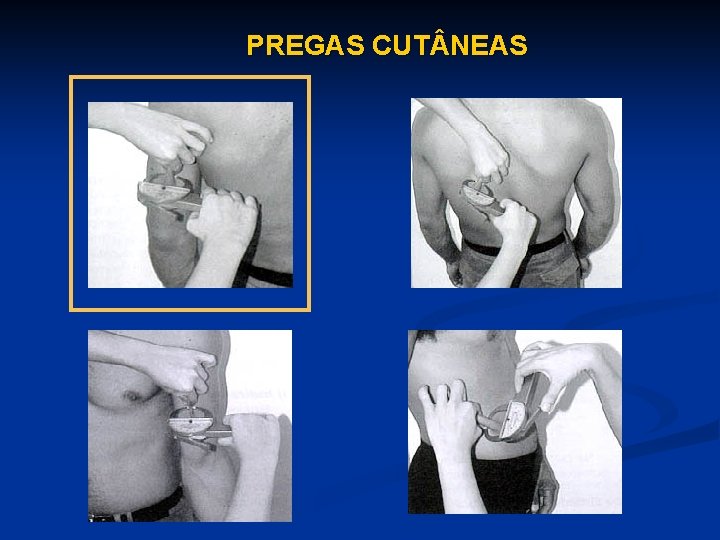 PREGAS CUT NEAS 