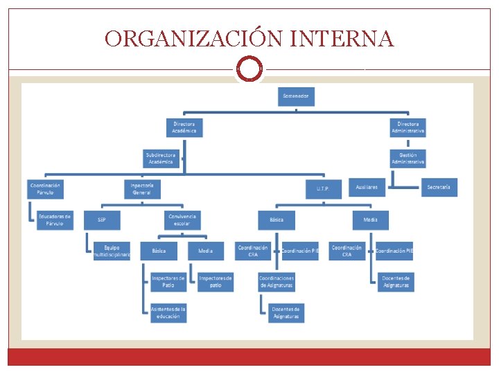 ORGANIZACIÓN INTERNA 