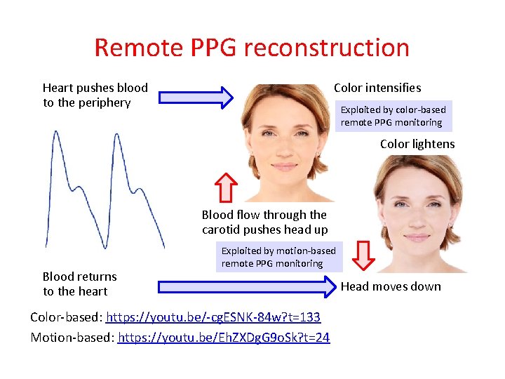 Remote PPG reconstruction Heart pushes blood to the periphery Color intensifies Exploited by color-based