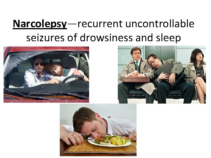 Narcolepsy—recurrent uncontrollable seizures of drowsiness and sleep 