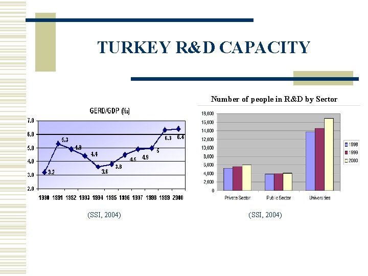 TURKEY R&D CAPACITY Number of people in R&D by Sector (SSI, 2004) 