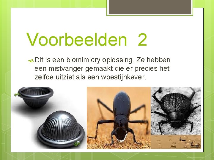 Voorbeelden 2 Dit is een biomimicry oplossing. Ze hebben een mistvanger gemaakt die er