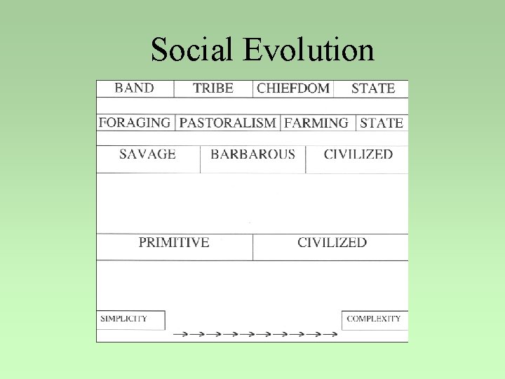 Social Evolution 