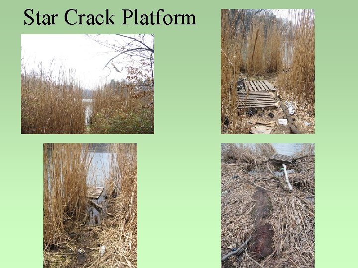 Star Crack Platform 