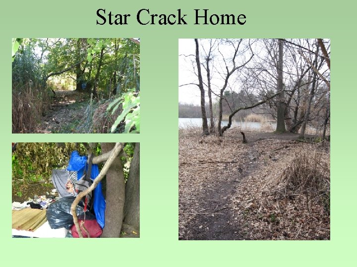 Star Crack Home 