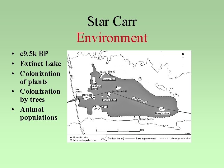 Star Carr Environment • c 9. 5 k BP • Extinct Lake • Colonization