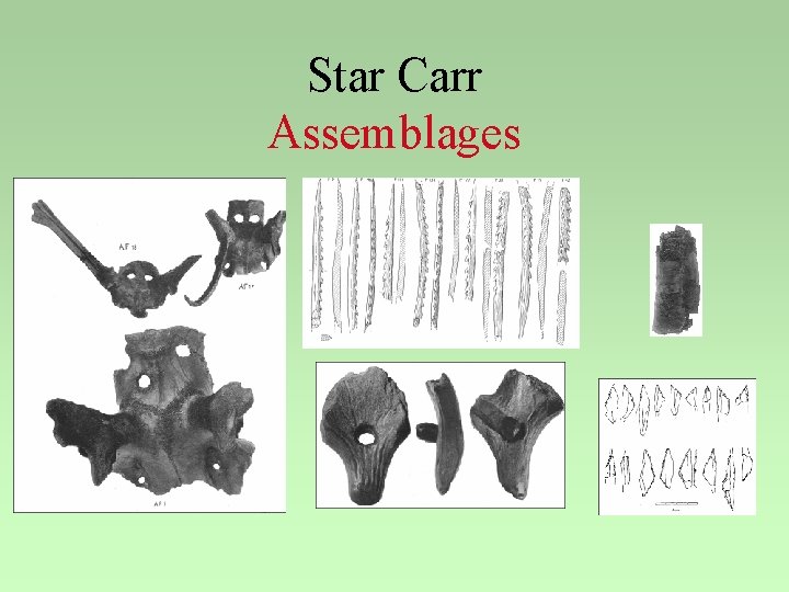 Star Carr Assemblages 