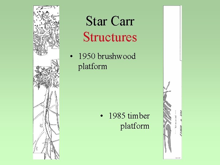 Star Carr Structures • 1950 brushwood platform • 1985 timber platform 