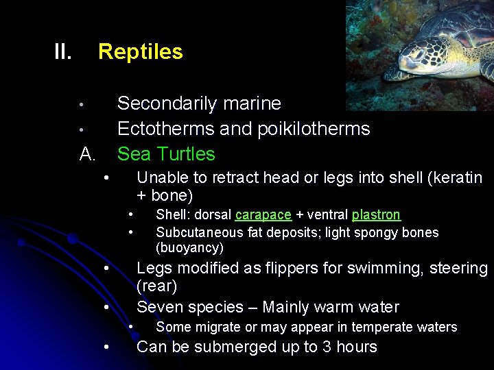II. Reptiles Secondarily marine Ectotherms and poikilotherms Sea Turtles • • A. • Unable