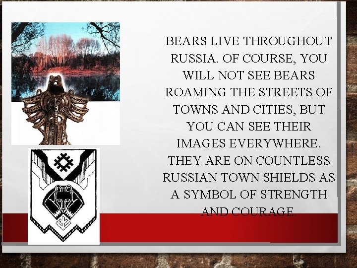 BEARS LIVE THROUGHOUT RUSSIA. OF COURSE, YOU WILL NOT SEE BEARS ROAMING THE STREETS