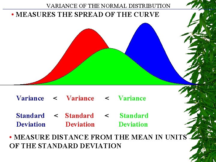VARIANCE OF THE NORMAL DISTRIBUTION • MEASURES THE SPREAD OF THE CURVE Variance <
